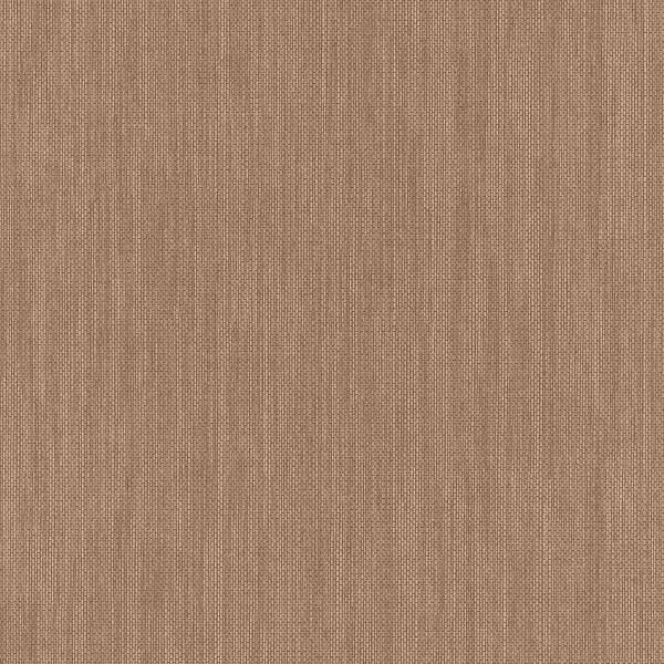 Erismann | Paradisio | 630911 | Vliestapete | Einfarbig | Uni | 0.53 x 10.05 m | Braun Erismann | Paradisio | 630911 | Vliestapete | Einfarbig | Uni | 0.53 x 10.05 m | Braun