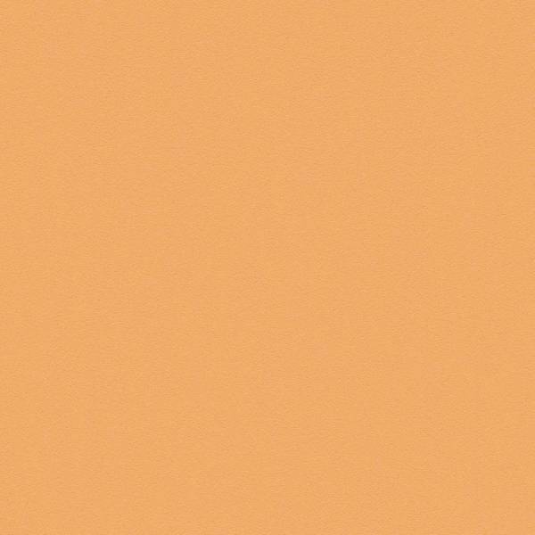 A.S. Creation | Boys & Girls 6 | 309587 | Vliestapete | Einfarbig | 0.53 x 10.05 m | Orange A.S. Creation | Boys & Girls 6 | 309587 | Vliestapete | Einfarbig | 0.53 x 10.05 m | Orange
