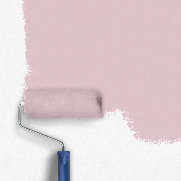 Zero-Lacke Innenfarbe Dispersionsfarbe S141 | Hellviolett Shiga | Lösungsmittelfrei Zero-Lacke Innenfarbe Dispersionsfarbe S141 | Hellviolett Shiga | Lösungsmittelfrei