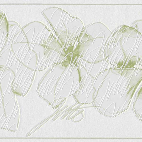 A.S. Creation | Styleguide Natürlich | 959912 | Vliesbordüre | Borte | 0.17 x 5 m | Grün A.S. Creation | Styleguide Natürlich | 959912 | Vliesbordüre | Borte | 0.17 x 5 m | Grün