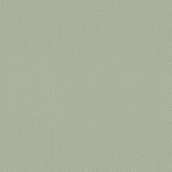 A.S. Creation | Jette 5 | 373655 | Vliestapete | Einfarbig | Uni | 0.53 x 10.05 m | Grün A.S. Creation | Jette 5 | 373655 | Vliestapete | Einfarbig | Uni | 0.53 x 10.05 m | Grün