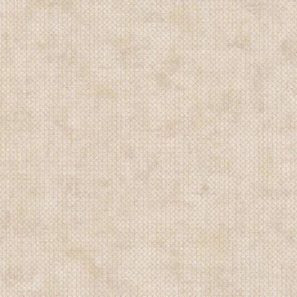 A.S. Creation | The BOS | 388262 | Vliestapete | Einfarbig | Uni | 0.53 x 10.05 m | Beige A.S. Creation | The BOS | 388262 | Vliestapete | Einfarbig | Uni | 0.53 x 10.05 m | Beige