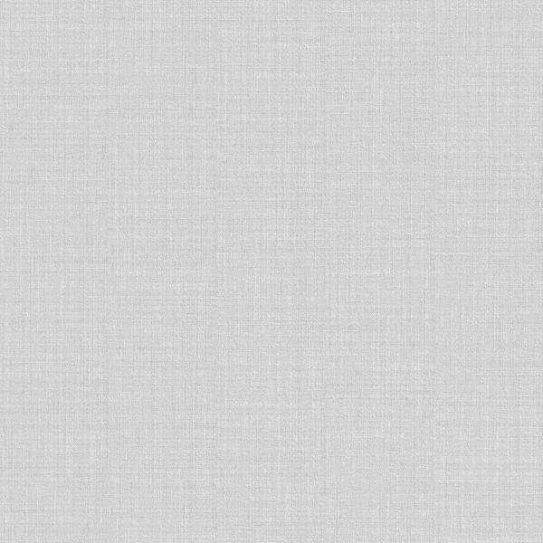 Rasch | Wall Textures Vol. IV | 442724 | Vliestapete | Einfarbig | Uni | 0.53 x 10.05 m | Grau Rasch | Wall Textures Vol. IV | 442724 | Vliestapete | Einfarbig | Uni | 0.53 x 10.05 m | Grau