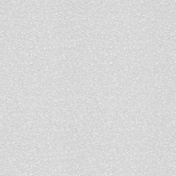 A.S. Creation | Meistervlies | 310811 | Vliestapete Überstreichbar | Putz | 0.53 x 10.05 m | Weiß A.S. Creation | Meistervlies | 310811 | Vliestapete Überstreichbar | Putz | 0.53 x 10.05 m | Weiß