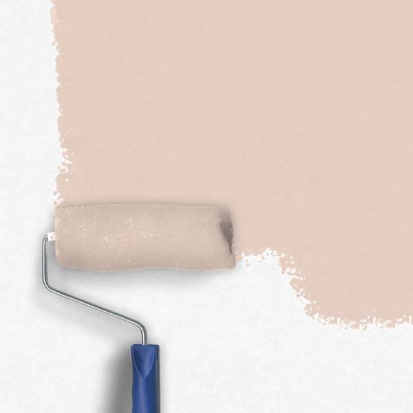 Zero-Lacke Innenfarbe Dispersionsfarbe S130 | Hellbraun Märchenhaft Braun | Lösungsmittelfrei Zero-Lacke Innenfarbe Dispersionsfarbe S130 | Hellbraun Märchenhaft Braun | Lösungsmittelfrei