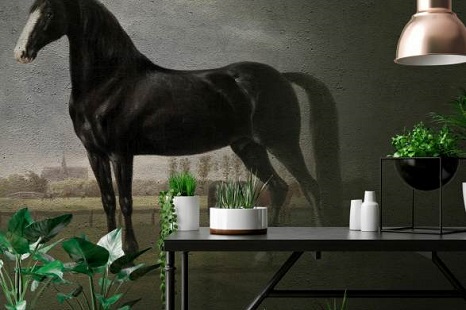 Profitapeten_Kategorie_Fototapete_Hobbys_Tiere-2