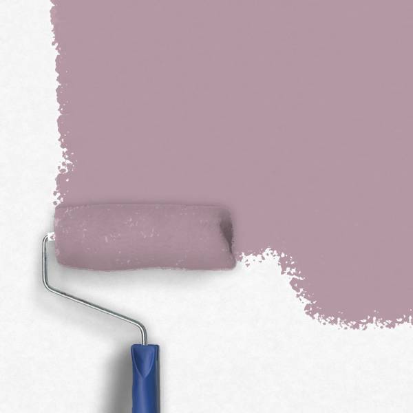 Zero-Lacke Innenfarbe Dispersionsfarbe N145 | Mittelviolett Sal | Lösungsmittelfrei Zero-Lacke Innenfarbe Dispersionsfarbe N145 | Mittelviolett Sal | Lösungsmittelfrei