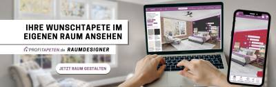Visualizer