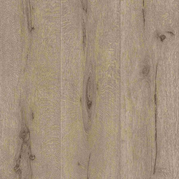 Rasch | Factory III | 514421 | Vliestapete | Muster & Motive | 0.53 x 10.05 m | Braun Rasch | Factory III | 514421 | Vliestapete | Muster & Motive | 0.53 x 10.05 m | Braun