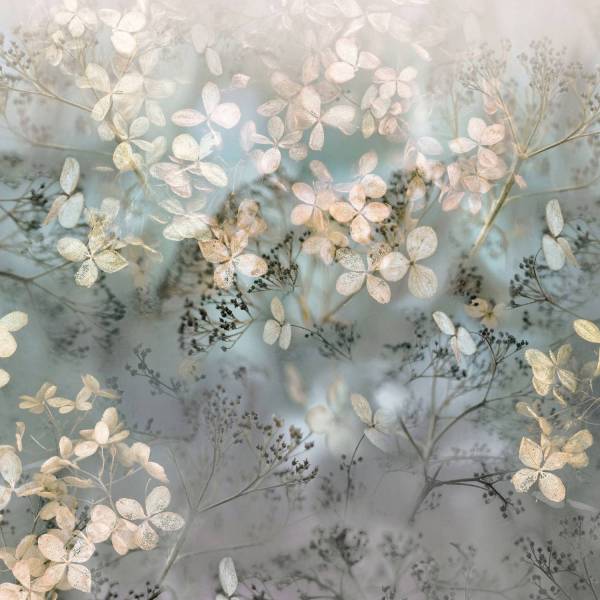 Erismann | Art Edition | 2236-25 | Fototapete | Vlies | 270 x 300 cm | Blumen & Floral | Beige Erismann | Art Edition | 2236-25 | Fototapete | Vlies | 270 x 300 cm | Blumen & Floral | Beige