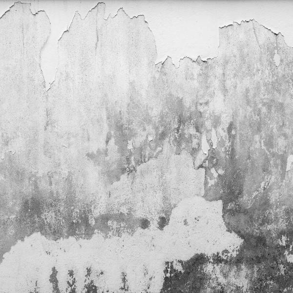 A.S. Creation | Designwalls | DD118766 | Fototapete | Vlies | 350 x 255 cm | Stein & Beton | Grau A.S. Creation | Designwalls | DD118766 | Fototapete | Vlies | 350 x 255 cm | Stein & Beton | Grau