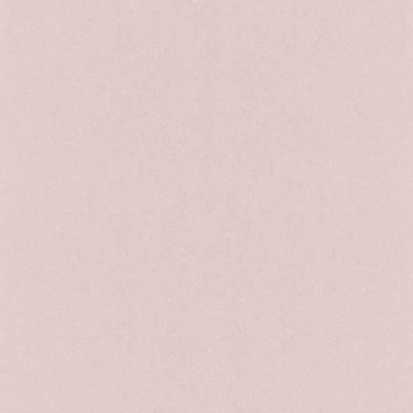 Rasch | Kerala | 501148 | Vliestapete | Einfarbig | Uni | 0.53 x 10.05 m | Silber Rasch | Kerala | 501148 | Vliestapete | Einfarbig | Uni | 0.53 x 10.05 m | Silber